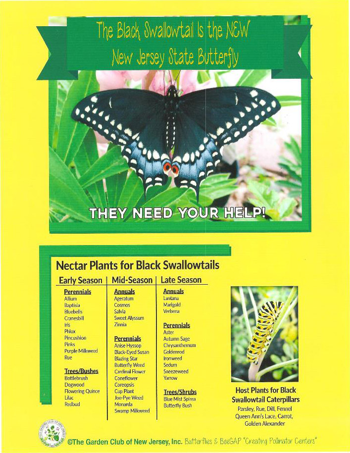 Black Swallowtail Butterfly Signage